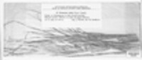 Uromyces lineolatus image